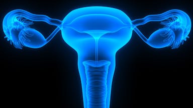 Tumor-Stroma Proportion May Predict Clinical Outcomes in High-Grade Serous Ovarian Cancer