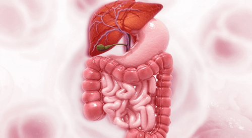 Switch Maintenance With Ramucirumab/Paclitaxel Improves Survival in HER2– Gastric Cancer