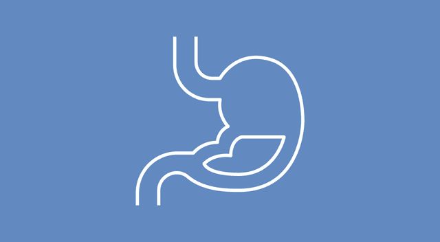 Illustration of stomach.